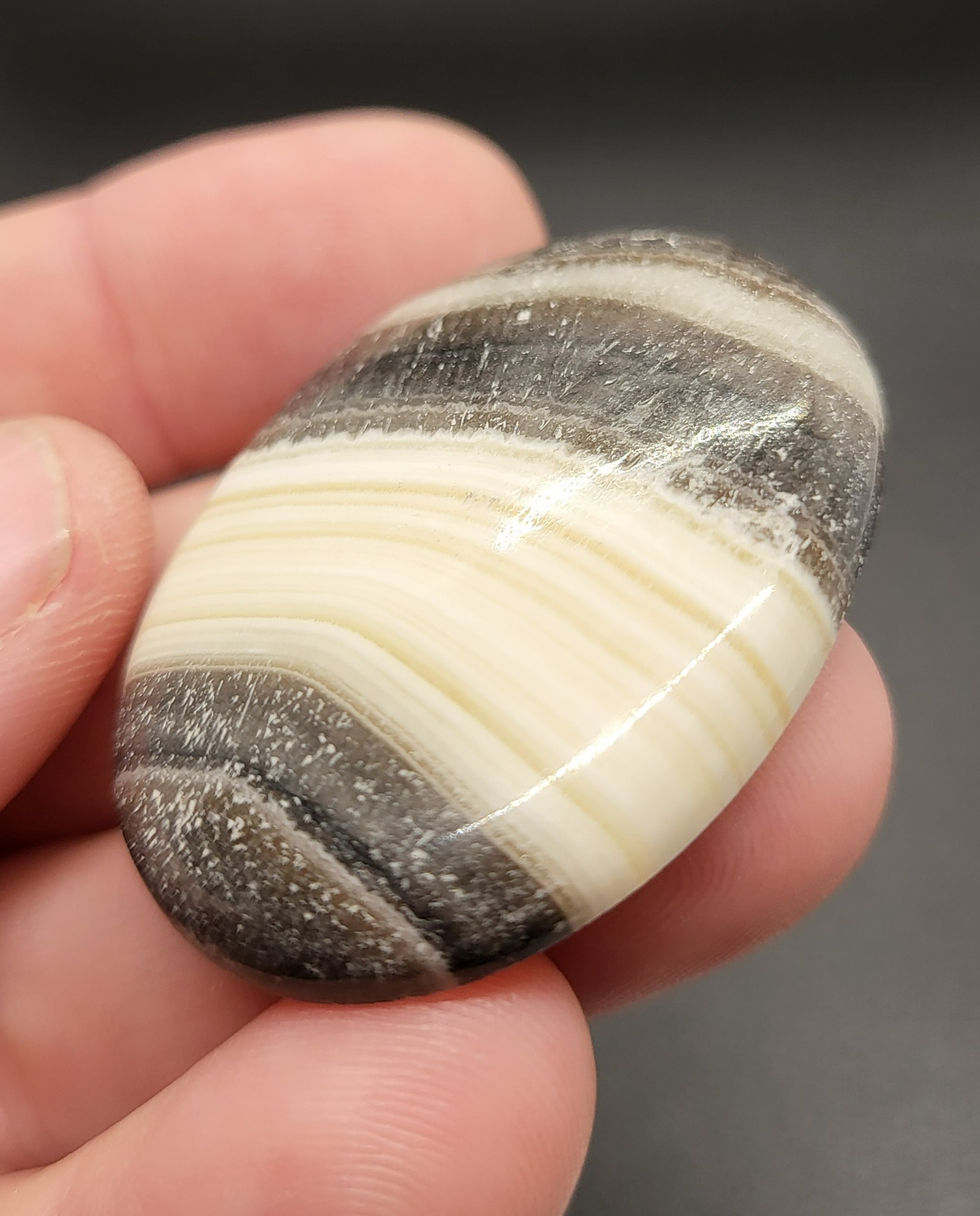 Zebra Jasper Cabochon oval