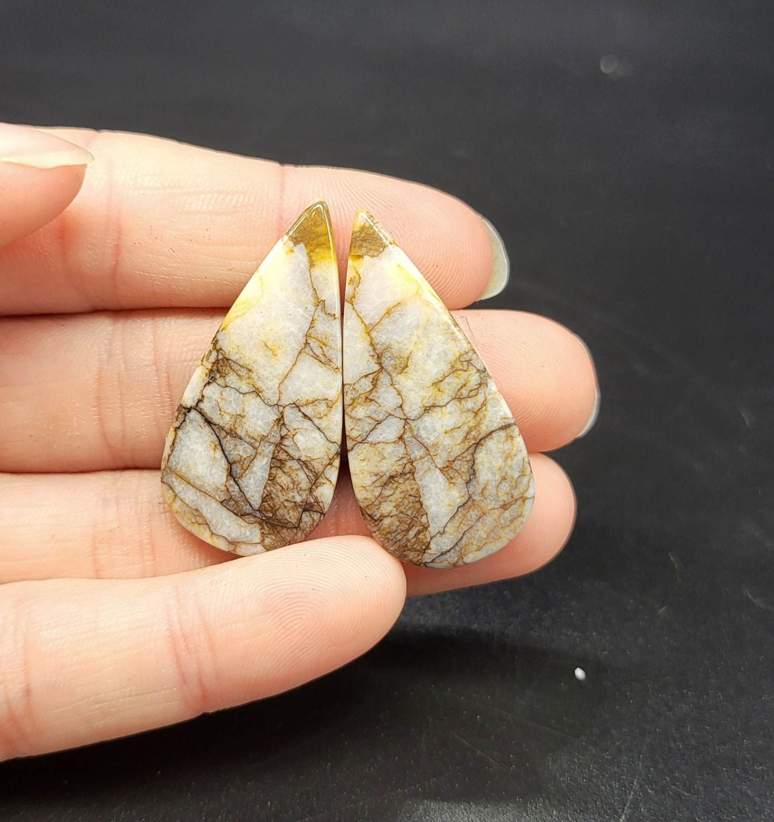 Wild Horse Jasper Cabochon Pair Teardrop