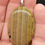 Thumbnail: Ocean Jasper Pendant