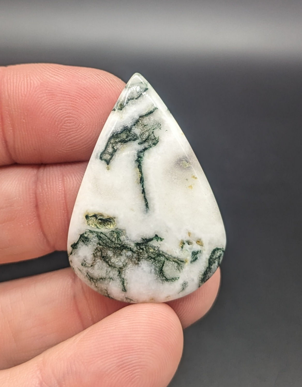 Tree Moss Agate Cabochon Teardrop