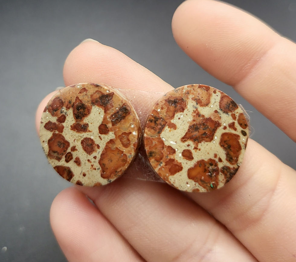 Asteroid Jasper Cabochon Pair Circle