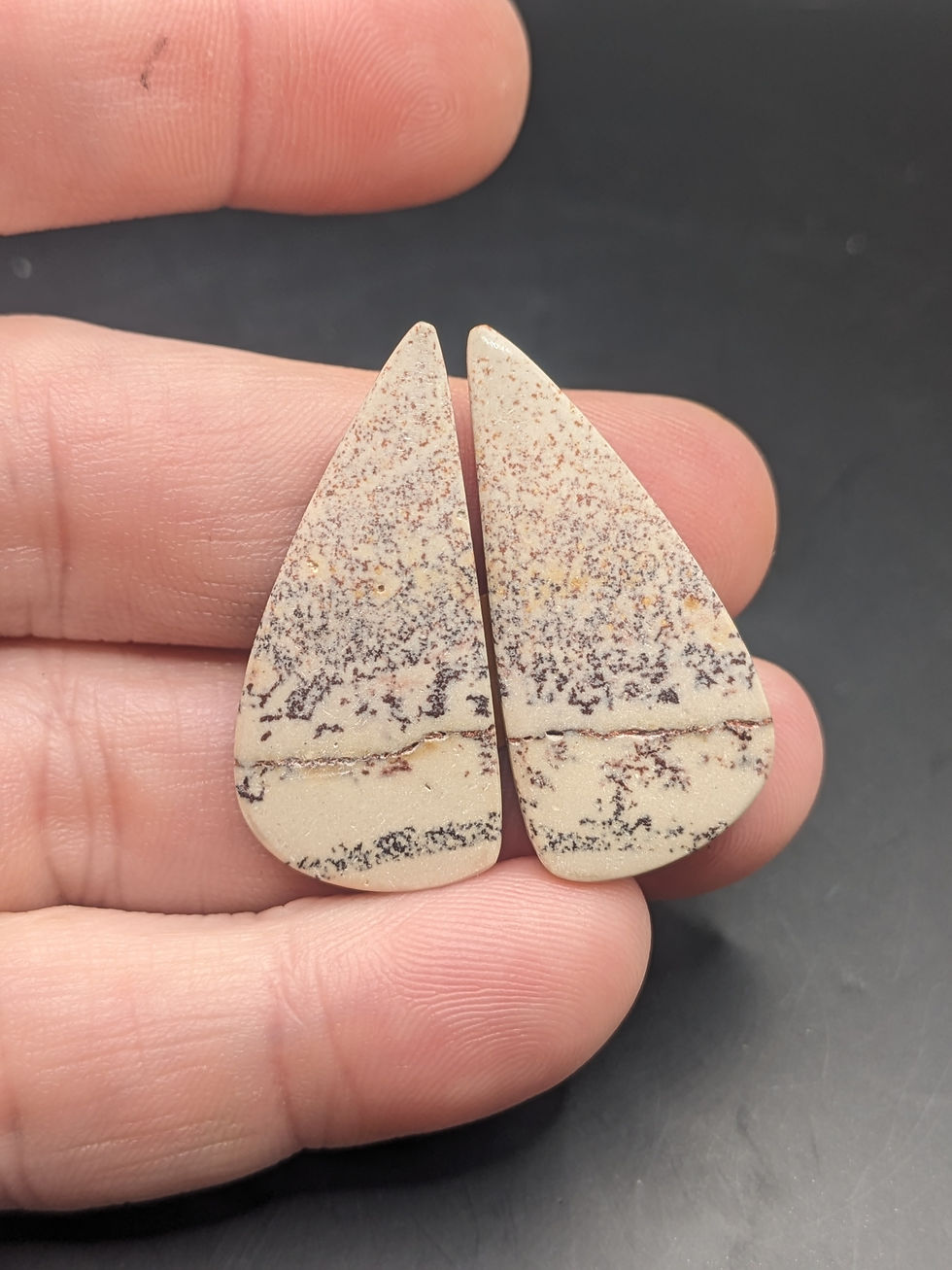 Picture Jasper Cabochon Pair Triangle/Teardrop