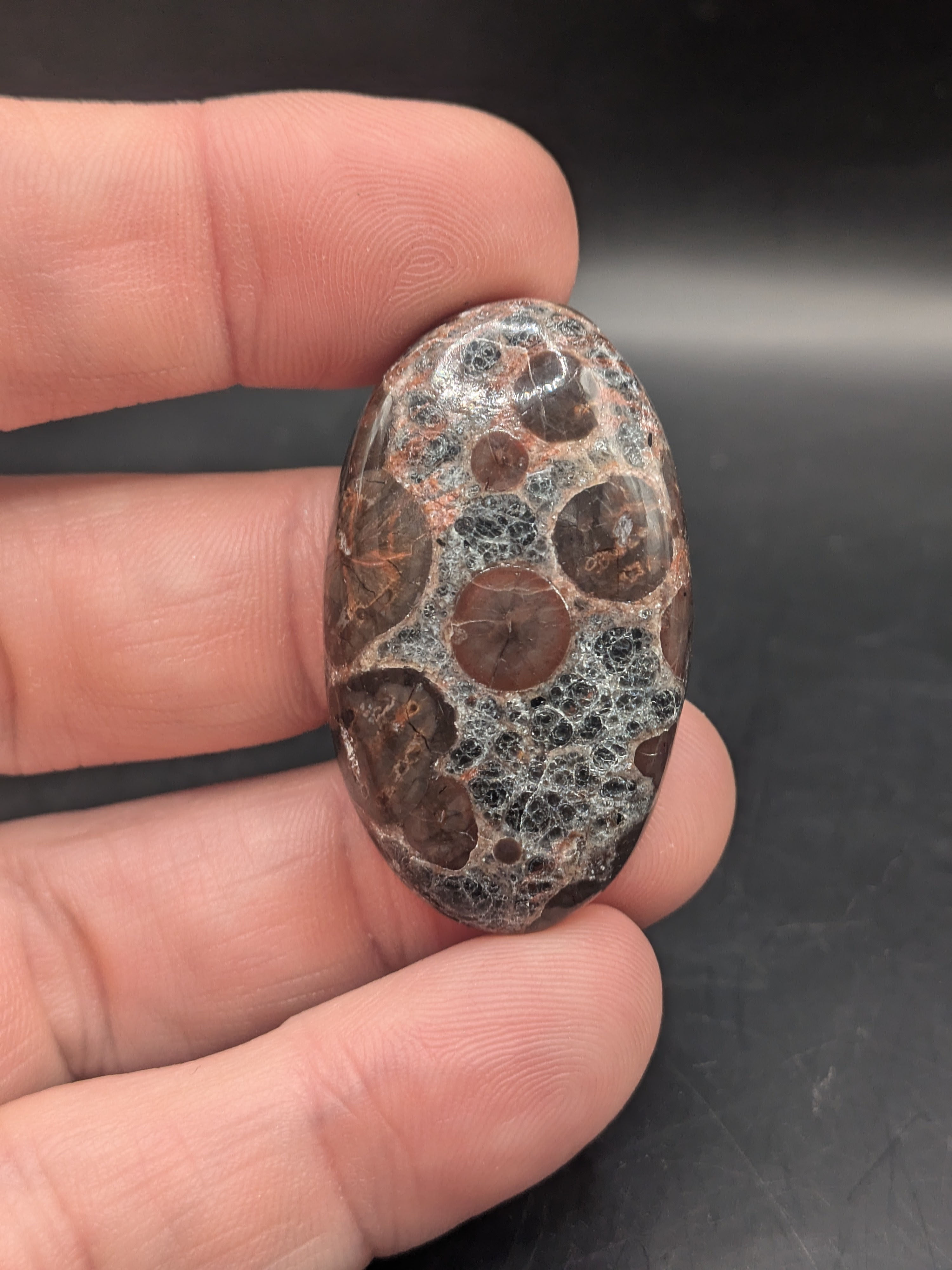 Peanut Obsidian Cabochon Oval