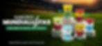 EA_SABORES MUNDIALISTAS_Banner (1238x563px).jpg