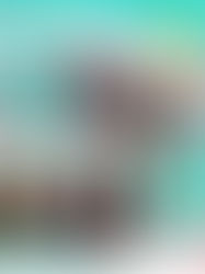 Literatura em cena (2ª Série)