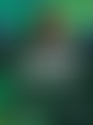 Vila na Jornada Bett Nordeste