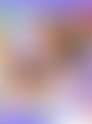 Infantil e 1ºs Anos: Lanche Coletivo