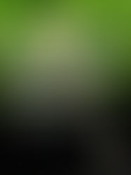 Ex-alunos Vila se destacam no SSA2/UPE