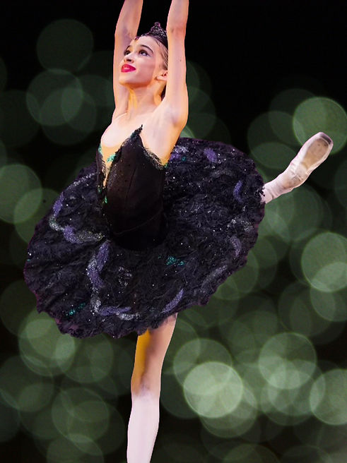 WhatsApp Image 2026-04-07 at 10_edited.jpg