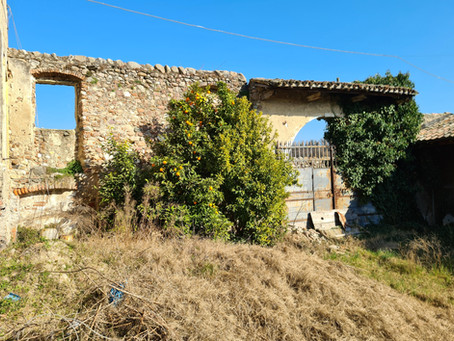 La Cascina delle Arancine