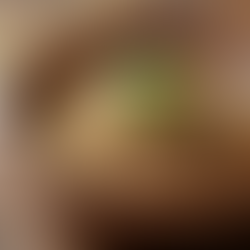 Bio Salgante Explicado: Tudo o Que Você Precisa Saber