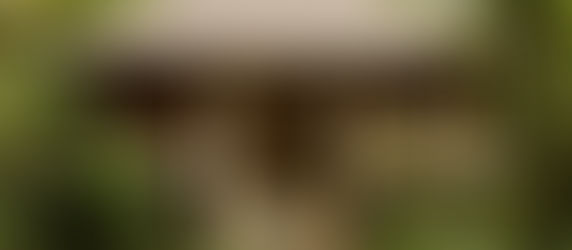 探索夢幻設計之旅:Lost Lindenberg,熱帶叢林中的懸浮村落