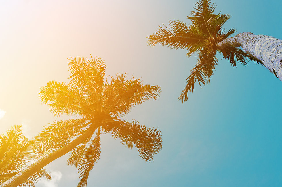 AdobeStock_253461541.jpeg