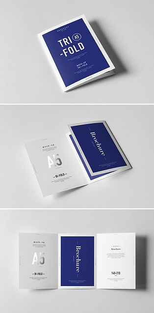 Tri fold brochure