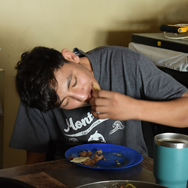 Alimentación balanceada