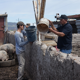 Regularización escolar No importa el nivel de estudios, damos continuidad a la educación d