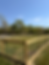Large Dog Park