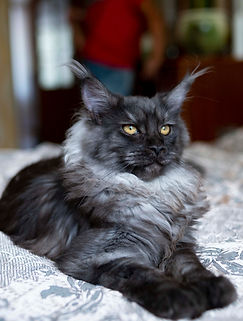 DSC_5009_edited.jpg