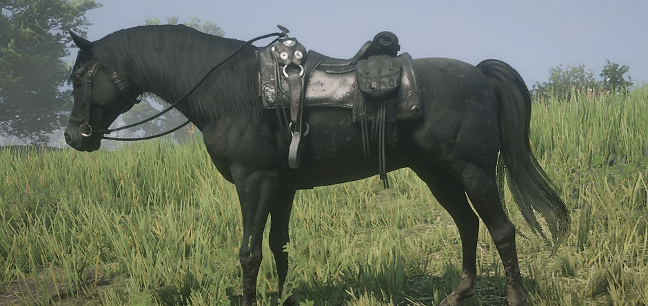 Red Dead Redemption 2 Screenshot 2021.09.30 - 08.03.27.98.jpg