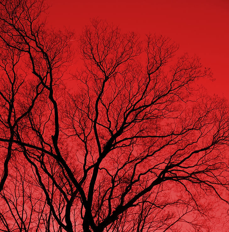 Swallowed By The Fire