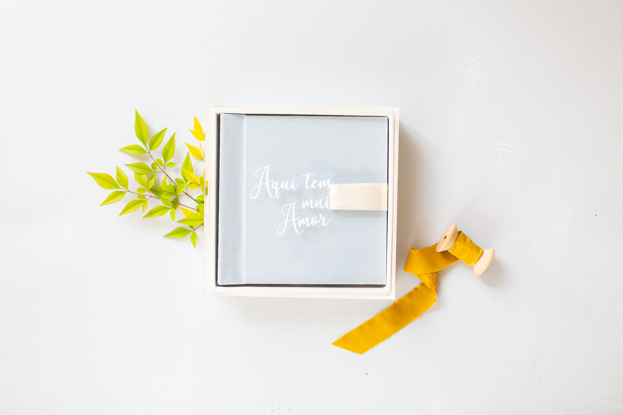 CAIXA DE ACRÍLICO - ÁLBUM AMOR