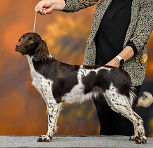 Aisha 12 2025 01.jpg