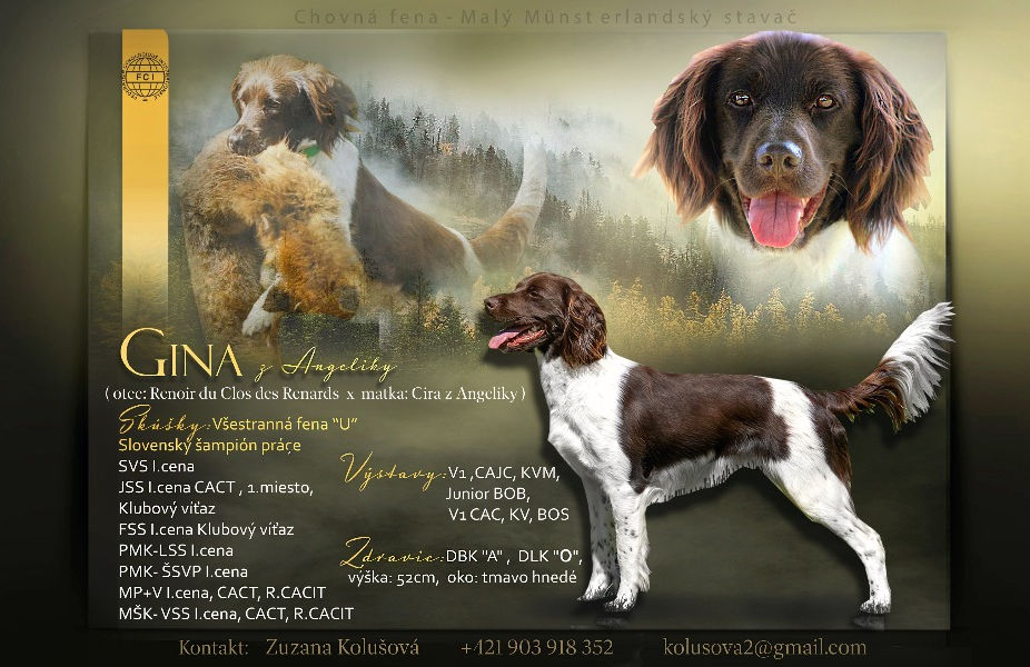 GINA VSS green_edited.jpg