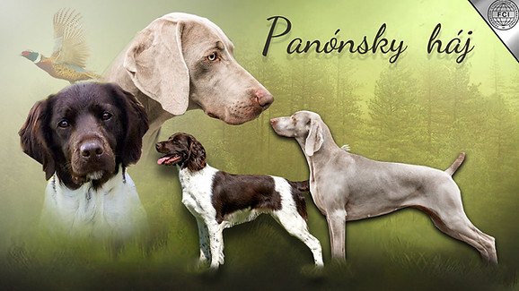 WEB_Zuzka_mensi_roz (1).jpg