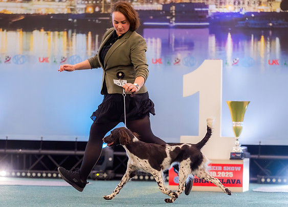 CACIB BA 26.10.2025 Aisha