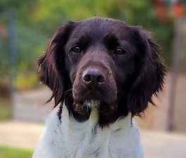 20230205_105228 (3).jpg