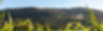 boarding-banner_2x.jpg