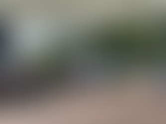 阪神競馬場でサイエンスショー!