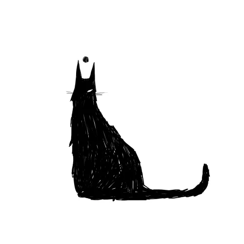 giphy (8).webp