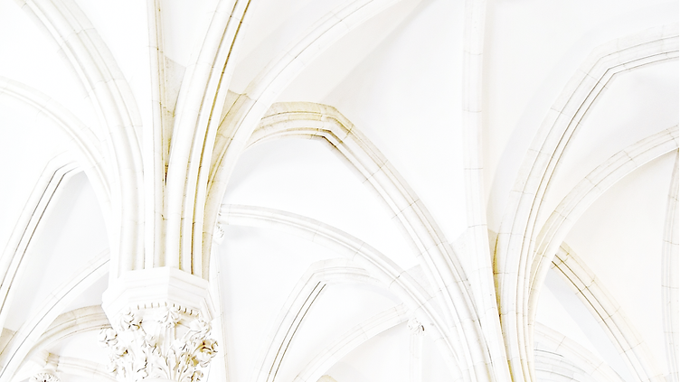 PT WHITE BACKGROUND-01.png