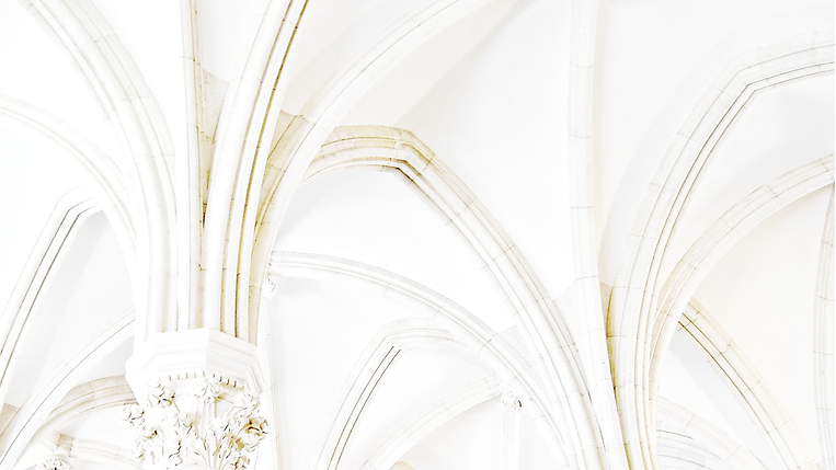 PT WHITE BACKGROUND-01.png