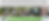 Comunity Trust Fund Banner.png