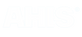 BRINS (12)_edited.png