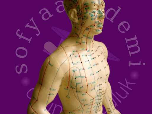 MERİDYEN TERAPİ EĞİTİMİ