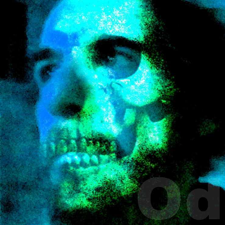 11.gif