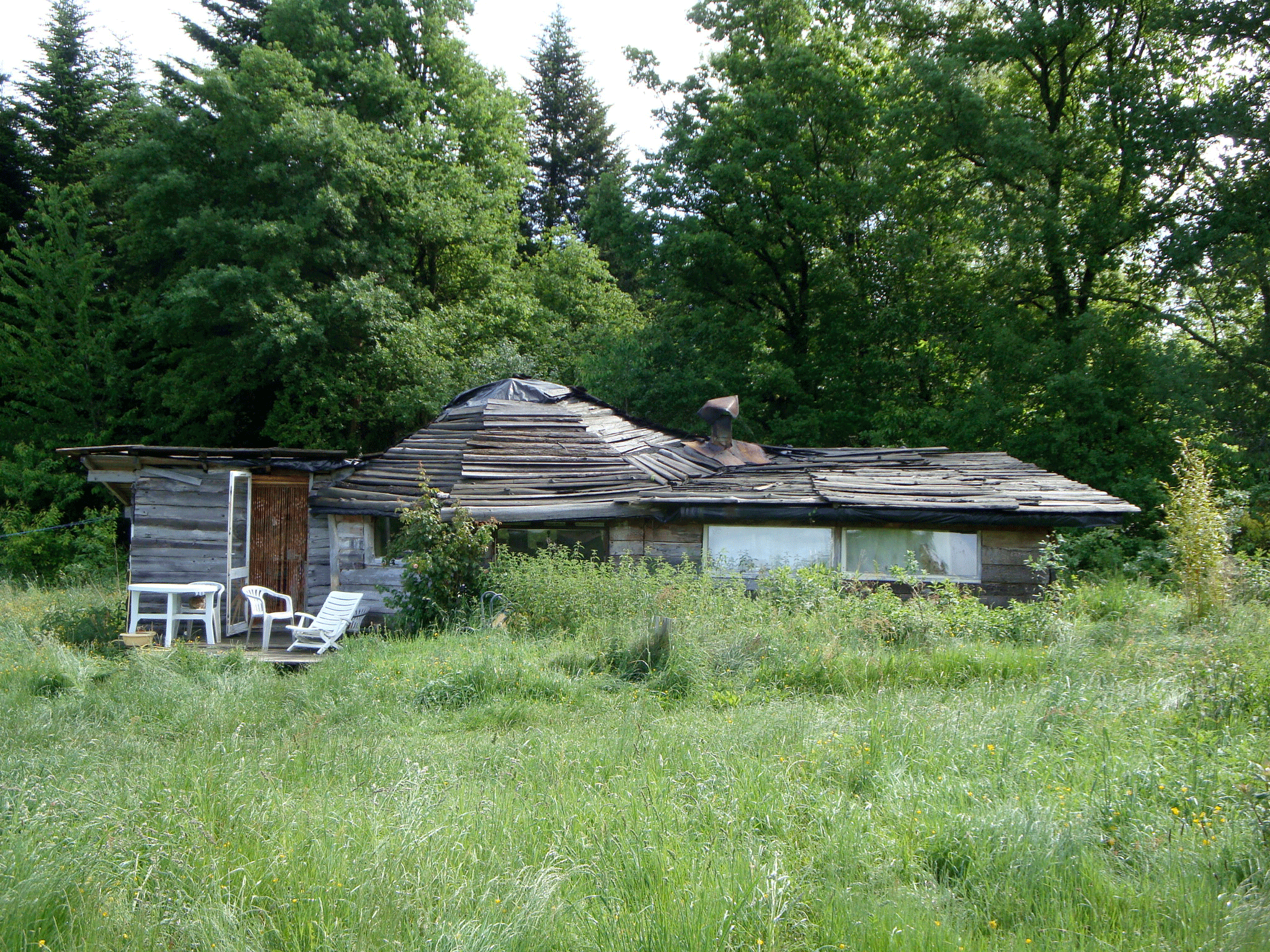 DSC01483.gif