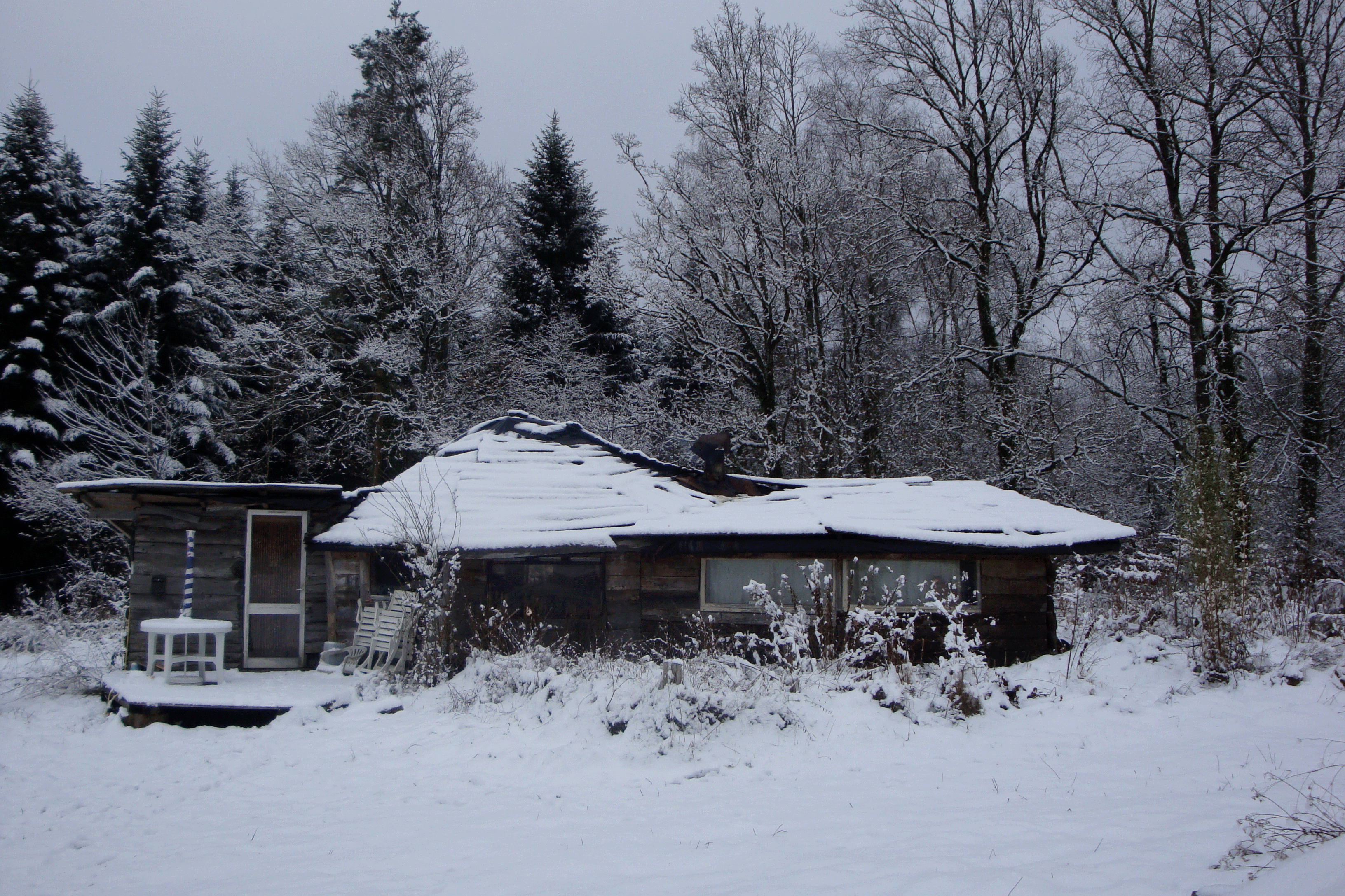 DSC03056.gif