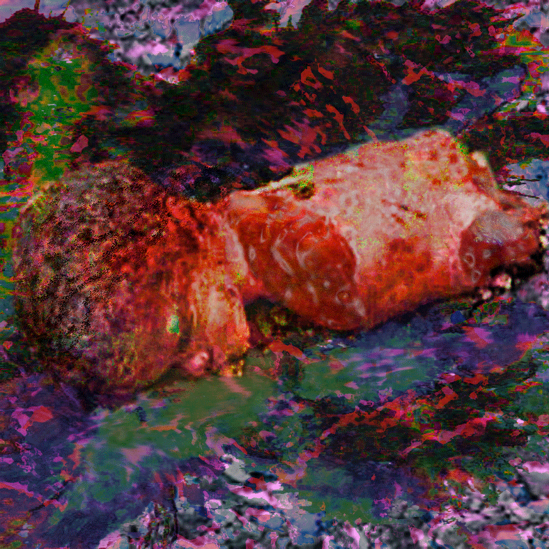 Parents-014.gif