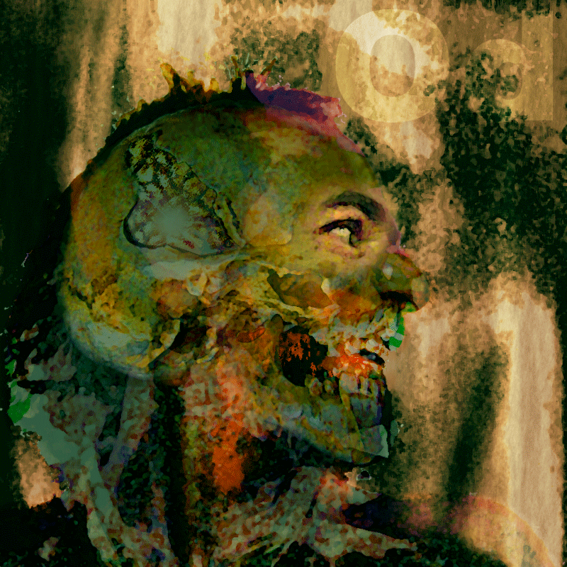 24.gif