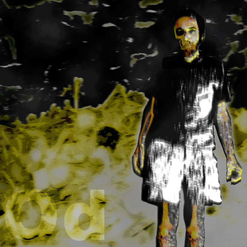 01.gif