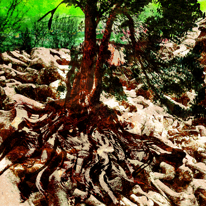 charnier-01-04.gif