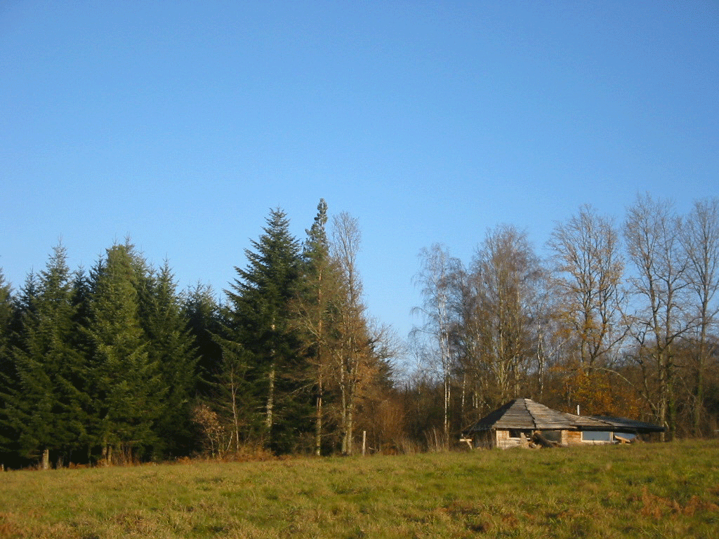 105-0502_IMG.gif
