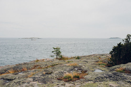 _DSC6322.jpg