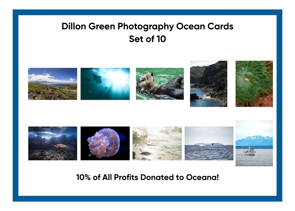 Thumbnail: Oceanic Stationary Set