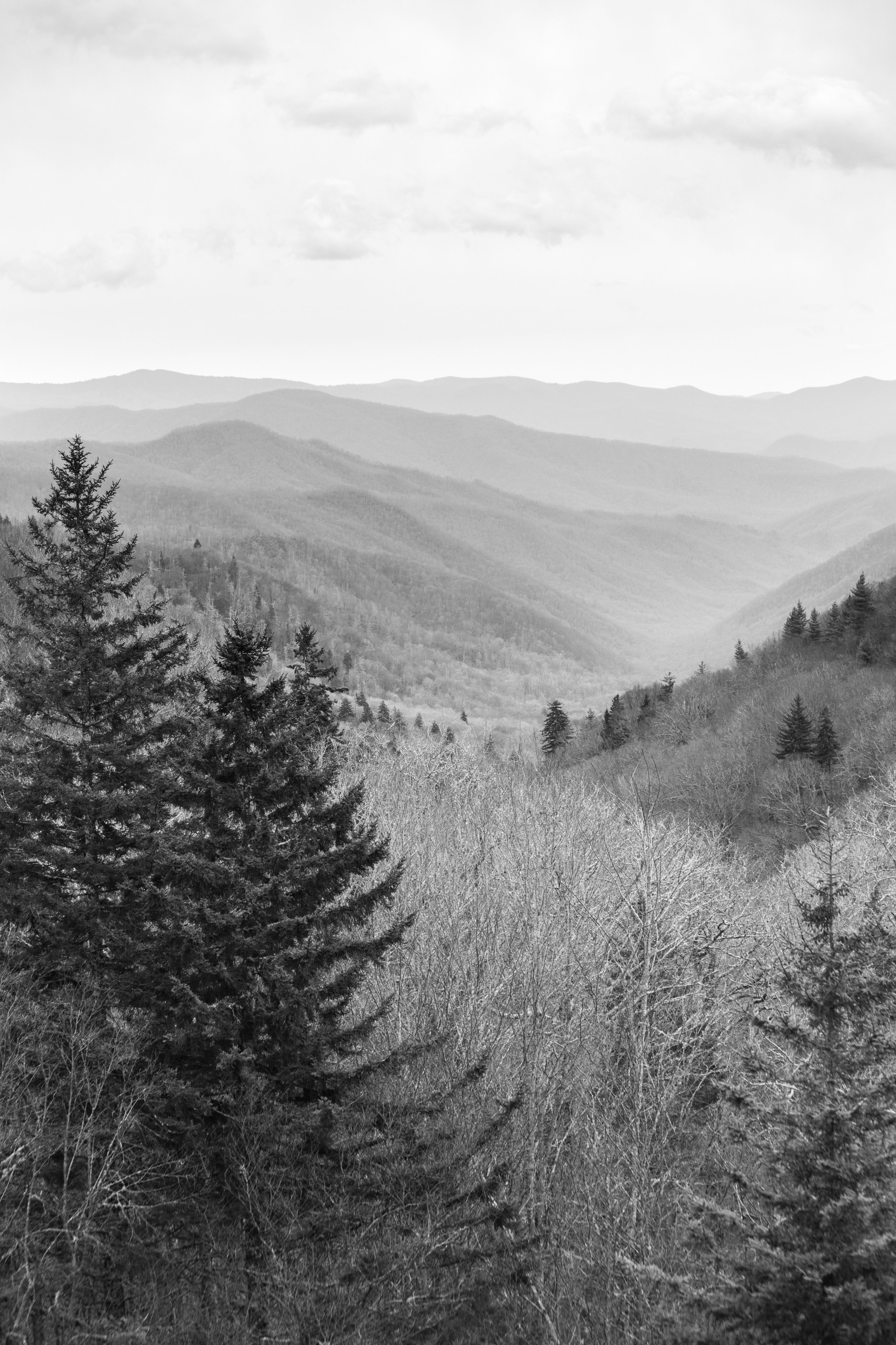 Great Smokey Mountains