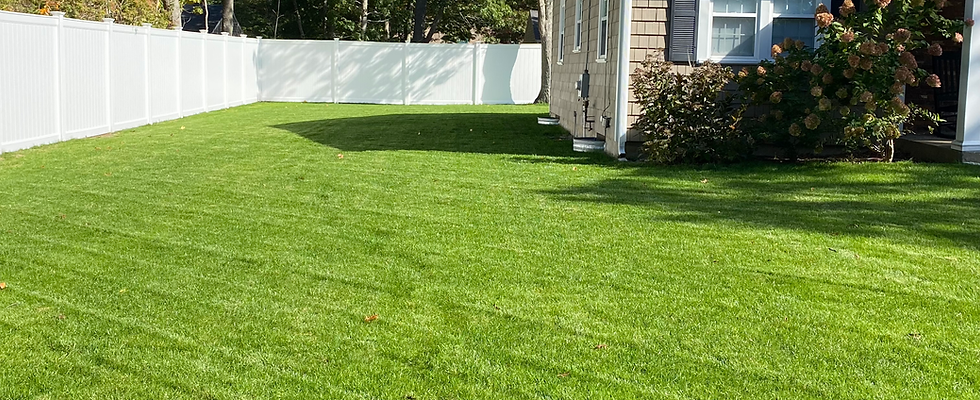 Lawn Fertilization Cape Cod